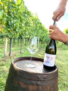 109403866 163801385271487 6012712327966240043 n