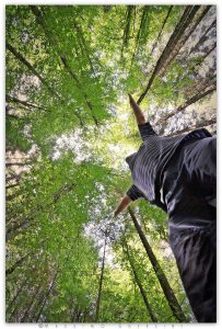 20767712 860795714071139 392645734314180125 n 1