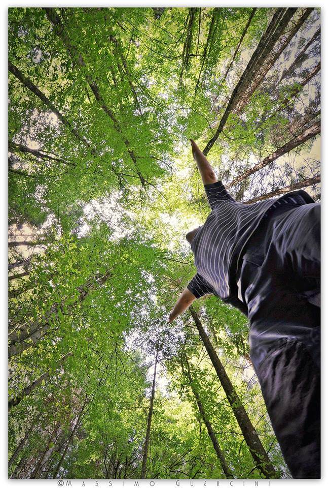 20767712 860795714071139 392645734314180125 n