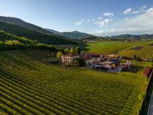 25042023 Loreggian 024