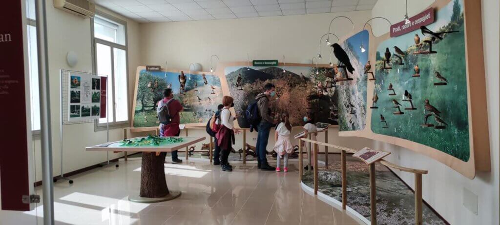 277522693 340229348073099 7022149615256021074 n