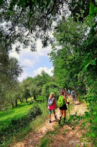 34885639 1028388443978531 3101061336554012672 n