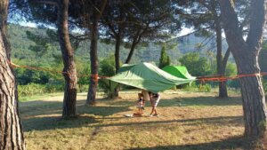 IMG 20240811 WA0021 1