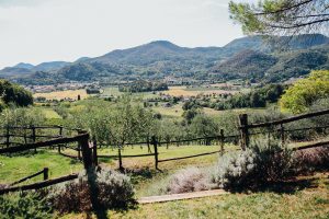 QUOTA101 foto tenuta 205 X2 1 1