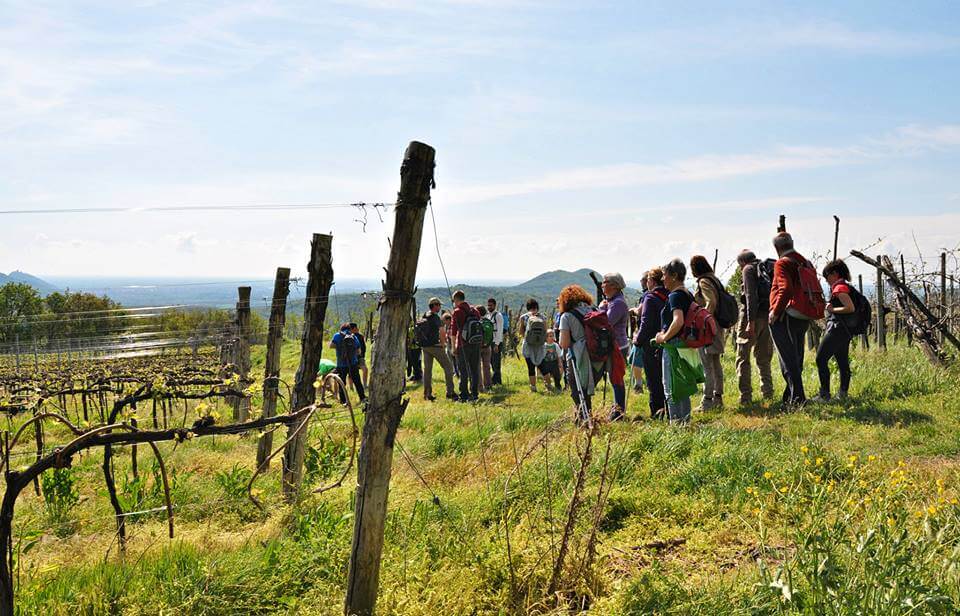 ca lustra m guercini 1