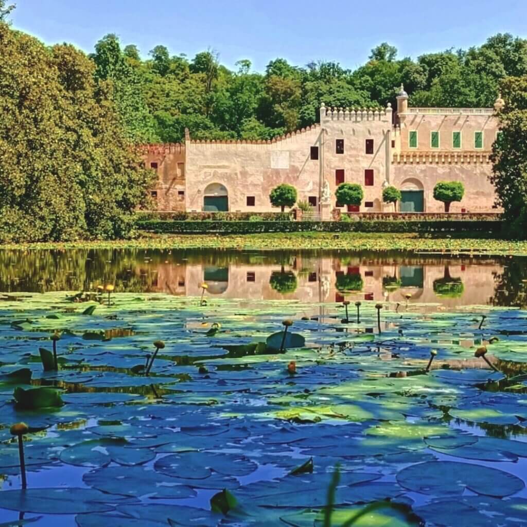 catajo @alfredocen66