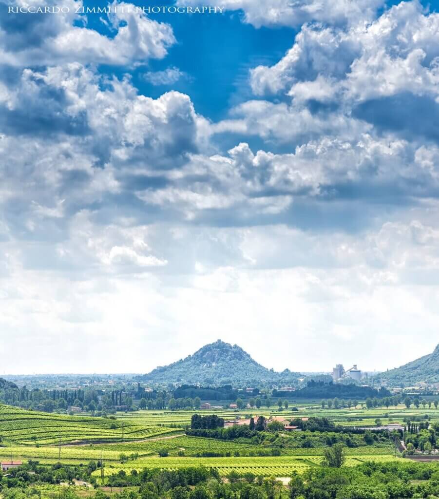 colli euganei r zimmitti 1