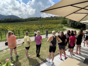 degustazione cantina loreggian