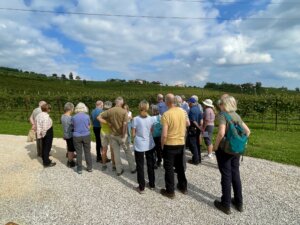 degustazione vino valdobbiadene