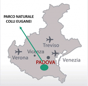 mappa veneto colli x sito