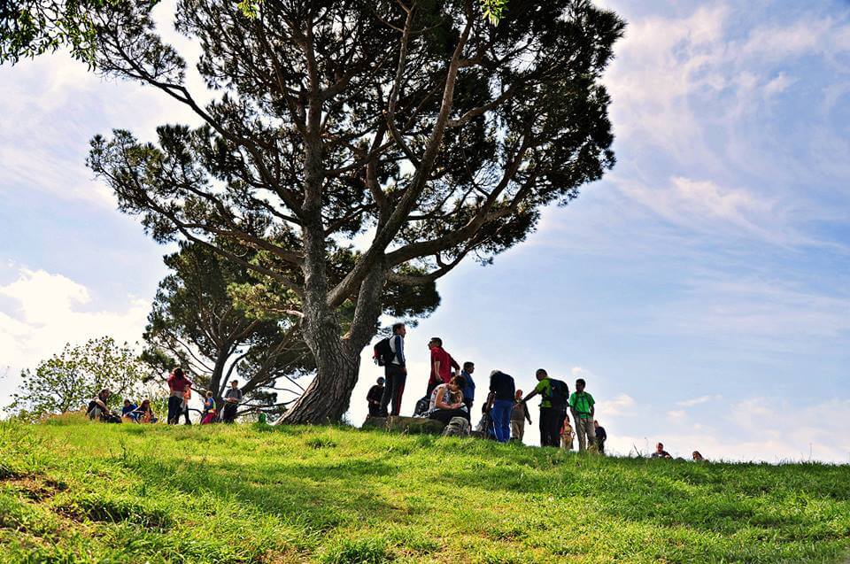 massimo guercini 22.4.17 1