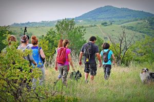 massimo guercini x calbarina