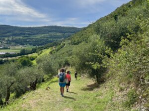 trekking colli berici