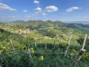 valdobbiadene cartizze